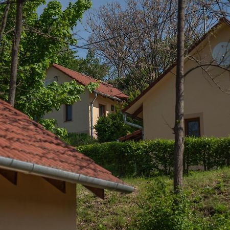 Tulipan Apartman Eger Exterior photo